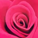 nailアクイール morishitaのプロフィール画像