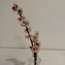 アイリスト muraのプロフィール画像