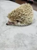 Nail 🌱TSUBASAのプロフィール画像