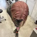 フジイ トワのプロフィール画像