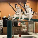 S+ studio Jyoのプロフィール画像