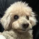 神田 瑞稀のプロフィール画像