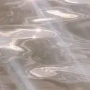 ❤︎︎韓国ヘア❤︎︎ 𝑺𝒉𝒊𝒉𝒐のプロフィール画像