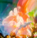 カットモデル募集中 MIYUUのプロフィール画像