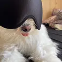 上條 遥也のプロフィール画像