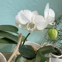 健美海LABO （飯田レイ）のプロフィール画像