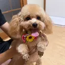 yuri nail 高田馬場のプロフィール画像