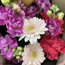 吉田 羽音のプロフィール画像