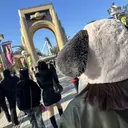 TRU NAIL 中洲店／Arisaのプロフィール画像