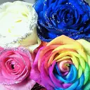 ライトビューティー 恵比寿店のプロフィール画像