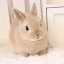 haru .のプロフィール画像