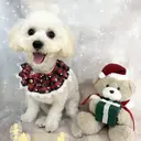 ☘️ 髪質改善🍀 ゆうしんのプロフィール画像