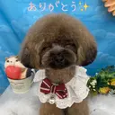 Nolaslien May 銀座店のプロフィール画像