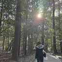 s. ayaのプロフィール画像