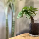 eye lash salon1739のプロフィール画像