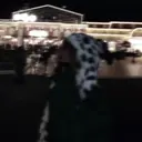 TABOO.O AIGIのプロフィール画像