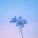 甲田 大輝のプロフィール画像