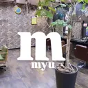 Okano Mikaのプロフィール画像