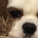 Bianca川越店 🌙uedaのプロフィール画像