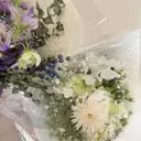 DaisyLash 舩橋のプロフィール画像