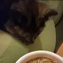 Noa 幸雪のプロフィール画像