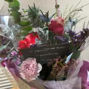 YOSAPARK アムールのプロフィール画像