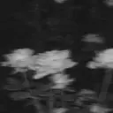 松本 しずくのプロフィール画像