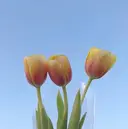 My sweet salonのプロフィール画像