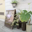 CANTIK🌙 ルナのプロフィール画像