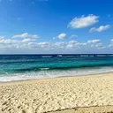 Daisy sotaのプロフィール画像