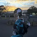 片岡 🌷のプロフィール画像