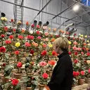 【メンズ特化】中場 健人/西梅田/北新地のプロフィール画像