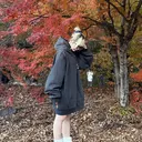 miyajima kirariのプロフィール画像