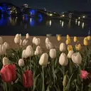 Terasaki mのプロフィール画像