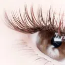 eye lash Lapisのプロフィール画像