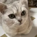 高橋 ゆゆのプロフィール画像