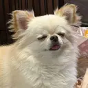 浅野 京佳のプロフィール画像