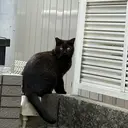 飯田 明門のプロフィール画像