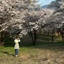 Eyelash by :ribbonのプロフィール画像