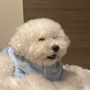 Favori 中村のプロフィール画像