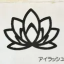 Lotus 脱毛salonのプロフィール画像
