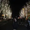 矢元 凪沙のプロフィール画像