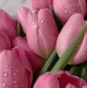 JF- keiのプロフィール画像