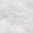 樋口 輝良々のプロフィール画像