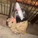 EYELAモデル募集 あてねのプロフィール画像