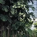 岩井 柚樹のプロフィール画像