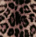 GiseL kotoneのプロフィール画像