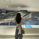 布施 つぐみのプロフィール画像