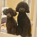 Heal 西尾のプロフィール画像