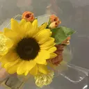 eye list SUZUKIのプロフィール画像